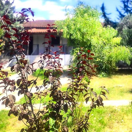 Vergia Studios Sozopoli Esterno foto