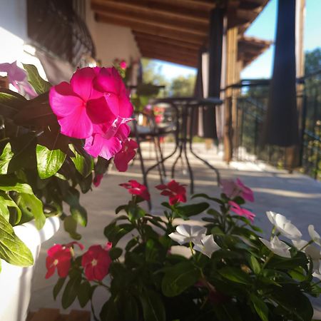 Vergia Studios Sozopoli Esterno foto