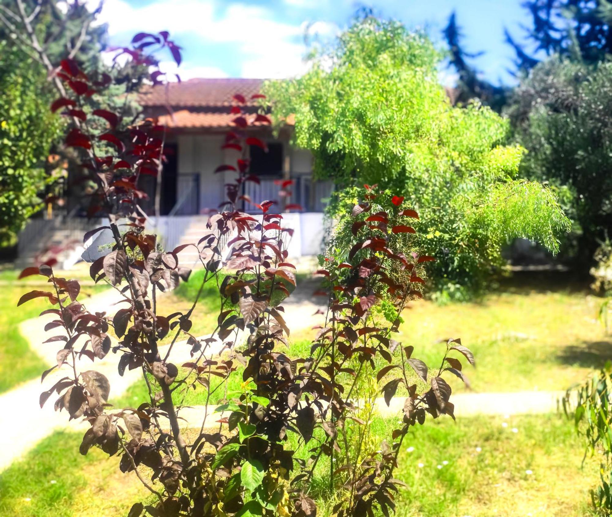Vergia Studios Sozopoli Esterno foto