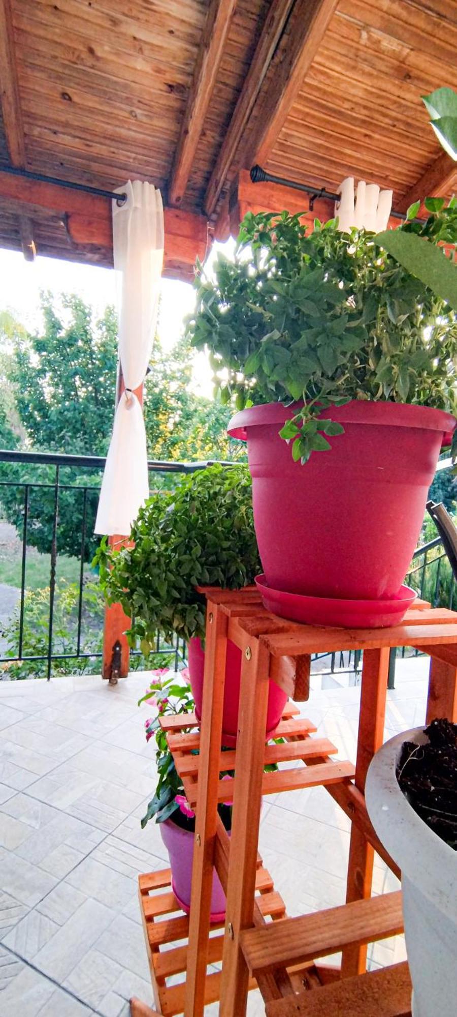 Vergia Studios Sozopoli Esterno foto
