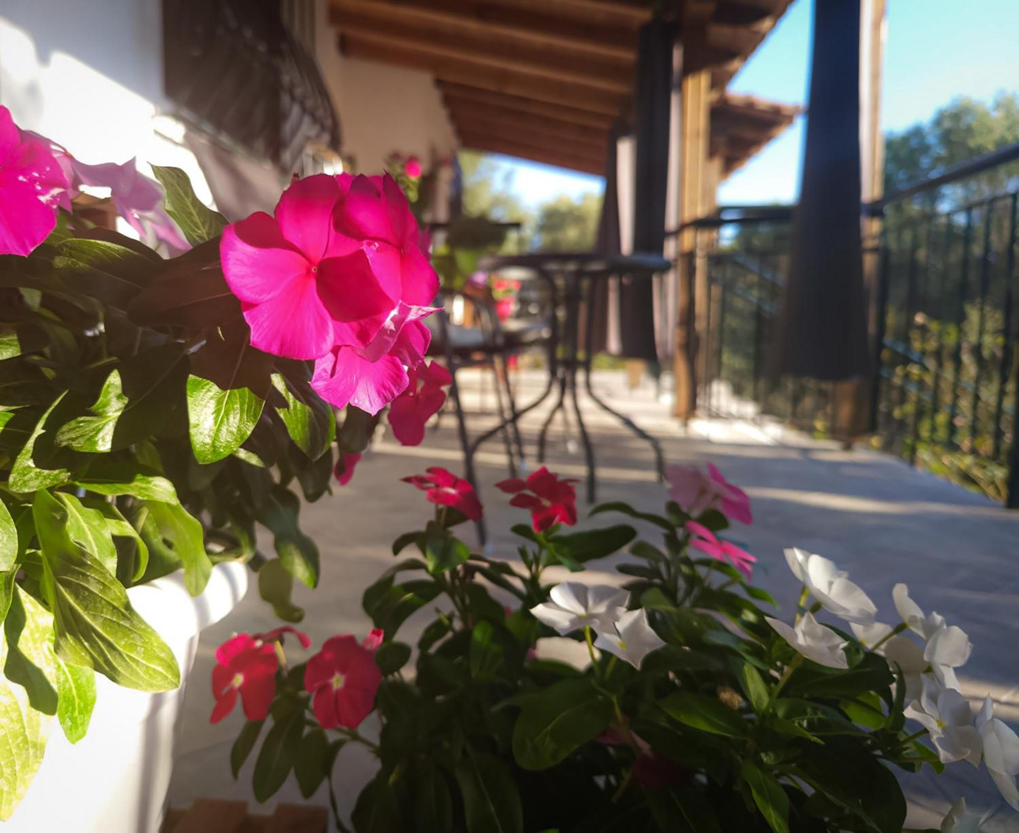 Vergia Studios Sozopoli Esterno foto